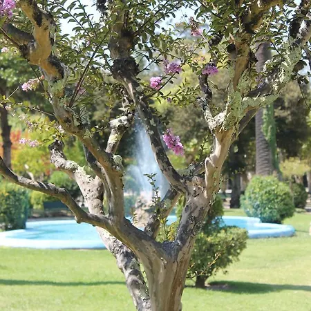 Termas Da Hotel