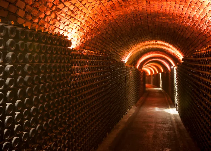 Hotel Termas Da Curia