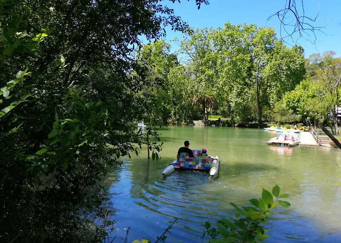 Hotell Termas Da Curia