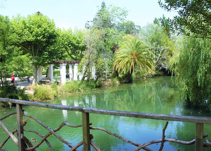 Hotel Termas Da Curia